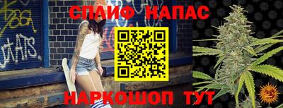 спиды Новодвинск