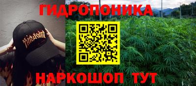 спиды Новодвинск