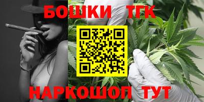 спиды Новодвинск