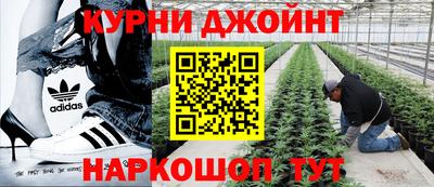 гашишное масло Новозыбков