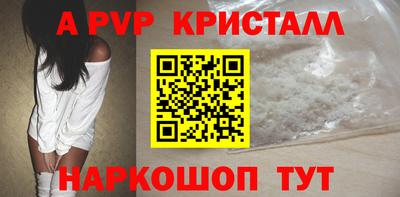 спиды Новодвинск