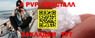 спиды Новодвинск